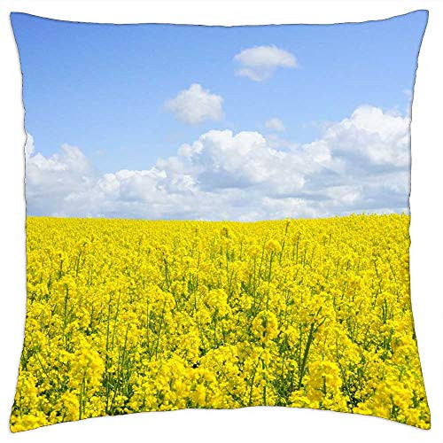 LESGAULEST Throw Pillow Cover -16x16 inch- - Field of Rapeseeds Oilseed Rape BlUtenmeer Yellow 1