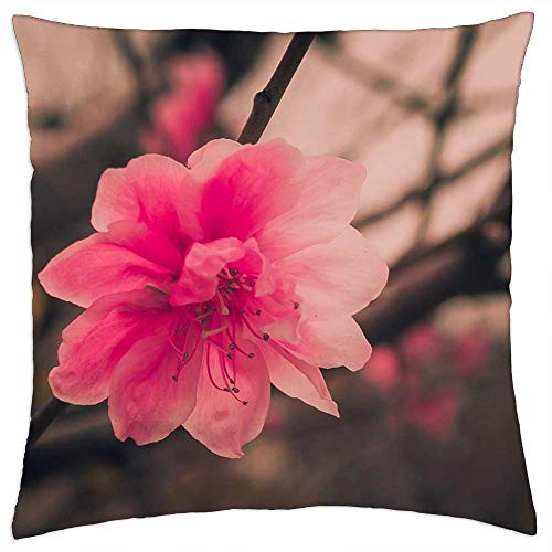 LESGAULEST Throw Pillow Cover -18x18 inch- - Flower Nature Flora Branch Outdoors