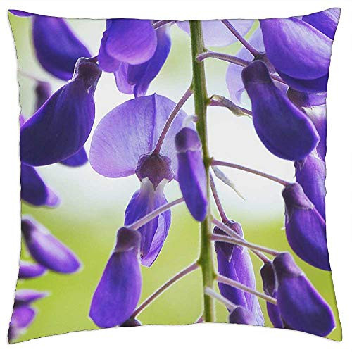 LESGAULEST Throw Pillow Cover -18x18 inch- - Wisteria Flower Bloom Purple Outdoor Nature