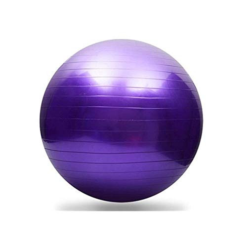 Zceras Sports Yoga Balls Bola Pilates Fitness Ball Gym Balance Exercise Pilates Workout Massage Ball with Pump 25cm -Color - PP-