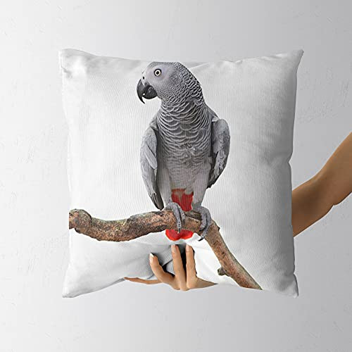 VeJerKK Grey Parrot Bird Psittacus Erithacus Standing on a Branch Tropical Nature Wildlife Multicolor Pillow Covers Decorative Cushion Cover Throw Printed Pillow Case 16in x 16in
