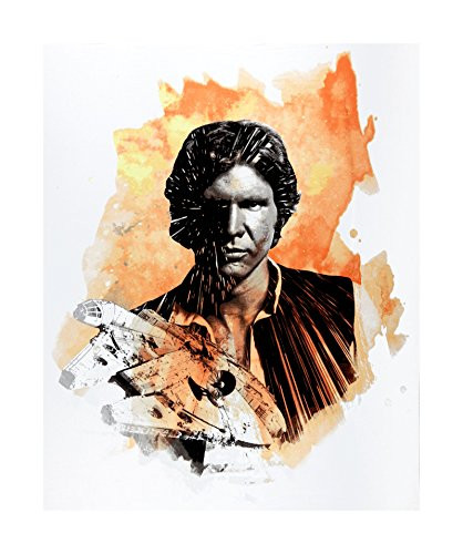 Eugene Textiles Star Wars Refresh Han Solo 36inch Panel Orange- Orange