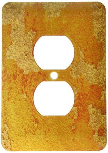 3dRose lsp_194953_6 Print of Rough Old Orangey Stone Palm Beach Florida 2 Plug Outlet Cover