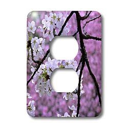 3dRose Lsp_96807_6 Cherry Blossom Trees, Seattle - Us48 Sma0042 - Stephen Matera 2 Plug Outlet Cover