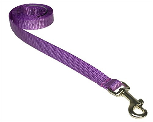 FlyFree 4 ft. Nylon Webbing Dog Leash44- Purple - Extra Small
