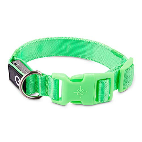 Petco Brand - Good2Go Neon Green LED Light-Up Dog Collar- Small