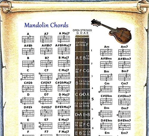 MANDOLIN CHORDS POSTER  and  NOTE LOCATOR CHART