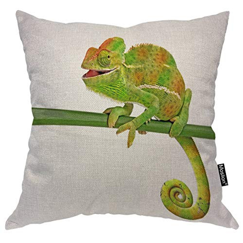 Moslion Chameleon Decorative Pillow Covers 16x16 Inch Green Bug Insect Chamaeleo on Tree Branch Throw Pillow Case Cotton Linen Canvas Square Cushion Accent Pillow for Sofa Bed