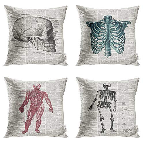Taysta Pack of 4 Throw Pillow Covers Cases Vintage Anatomy Skull Study X Ray Book Skeleton Merry Christmas Decorative Square Pillowcase Cover Case Cushion Home Decor 18 x 18 Inches Taysta Pack of 4 Throw Pillow Covers Cases Vintage Anatomy Skull Study X Ray Book Skeleton Merry Christmas Decorative Square Pillowcase Cover Case Cushion Home Decor 18 x 18 Inches