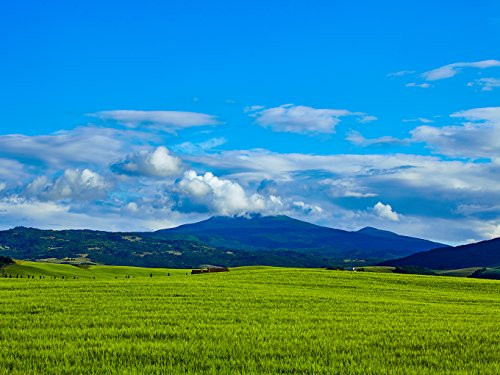 DZJYQ 6.5x5ft(2x1.5m) Blue Sky White Cloud Green Forest Tree Mountain Grassland Beautiful Scenery Holiday Tour Backdrop Photography Background 370