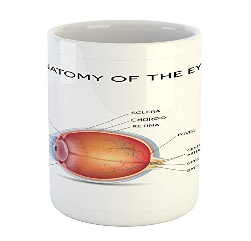 Ambesonne Eye Chart Mug- Anatomy of an Eye Composed with Parts Named- Ceramic Coffee Mug Cup for Water Tea Drinks- 11 oz- White Burnt Orange