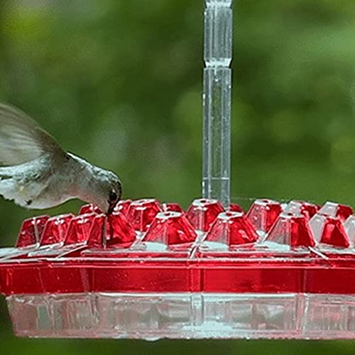 Mary's Sweety Hummingbird Feeder and Built-in Ant Moat- Easy to Clean- with 30 Feeding Ports- Best Hummingbird Feeders Gift for Family Friends- for Outdoor-Yard-Garden-Deck-Patio Decoration -F- Mary's Sweety Hummingbird Feeder and Built-in Ant Moat- Easy to Clean- with 30 Feeding Ports- Best Hummingbird Feeders Gift for Family Friends- for Outdoor-Yard-Garden-Deck-Patio Decoration -F-