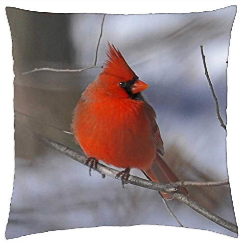 LESGAULEST Throw Pillow Cover -24x24 inch- - Cardinal Bird Red Winter Branch