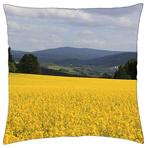LESGAULEST Throw Pillow Cover -24x24 inch- - Oilseed Rape Fichtelberg Ore Mountains Yellow