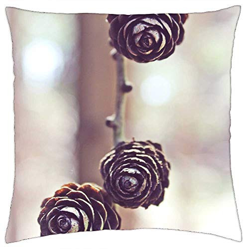 LESGAULEST Throw Pillow Cover -24x24 inch- - Tap Pine Cones Forest Conifer Branch Wood
