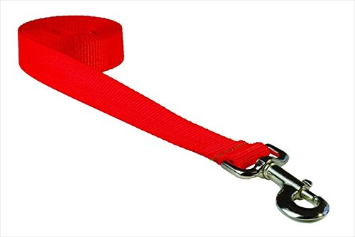 FlyFree 4 ft. Nylon Webbing Dog Leash44- Neon Orange - Small  and  Medium