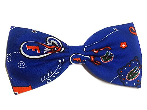 Uf Gators Paisley Hair Bow-blue and Orange- University of Florida- College- Football-for Girls- for Teens- for Women -Barrette-