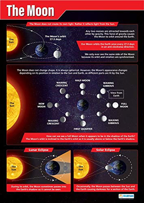 The Moon | Science Posters | Gloss Paper Measuring 33 x 23.5 | STEM Charts for The Classroom | Education Charts by Daydream Education