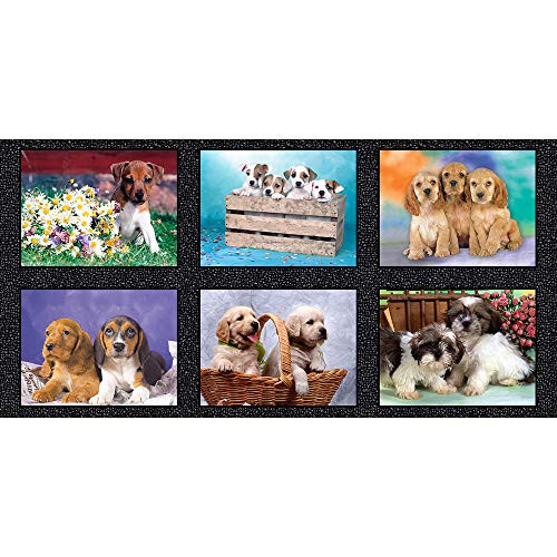 Windham Somebody to Love Whistler Puppies Panel Multi Fabric