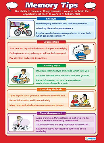 Memory Tips | Life Skills Posters | Gloss Paper Measuring 33 x 23.5 | Functional Skills Classroom Posters | Education Charts by Daydream Education