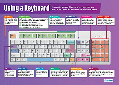 Using a Keyboard | Technology and Computing Posters | Gloss Paper Measuring 33 x 23.5 | ICT Charts for The Classroom | Education Charts by Daydream Education