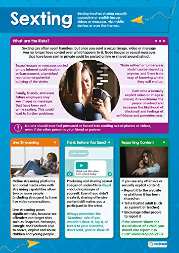 Sexting | Online Safety Posters | Gloss Paper Measuring 33 x 23.5 | Internet Safety Class Posters | Education Charts by Daydream Education