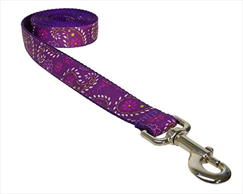 FlyFree 6 ft. Pretty Paisley Dog Leash44- Purple - Medium