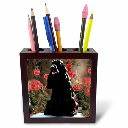 3dRose ph_1025_1 English Cocker Spaniel Black Tile Pen Holder, 5-Inch