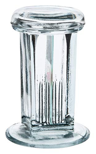 Coplin Staining Jar- Fits up to 5 76x25mm Slides- 4.25inch Tall - Eisco Labs