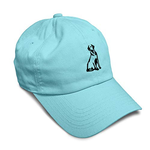Speedy Pros Soft Baseball Cap Labrador Retriever Embroidery Twill Cotton Dad Hats for Men and Women Buckle Closure Mint Design Only Speedy Pros Soft Baseball Cap Labrador Retriever Embroidery Twill Cotton Dad Hats for Men and Women Buckle Closure Mint Design Only