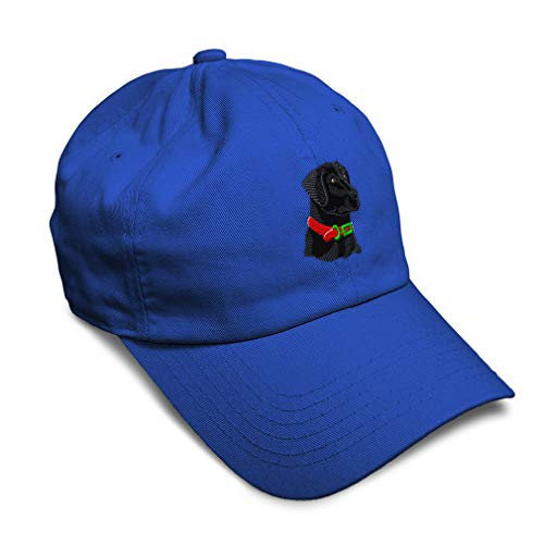 Soft Baseball Cap Black Lab Head Embroidery Pets Dogs Twill Cotton Dad Hats for Men and Women Buckle Closure Royal Blue Design Only Soft Baseball Cap Black Lab Head Embroidery Pets Dogs Twill Cotton Dad Hats for Men and Women Buckle Closure Royal Blue Design Only