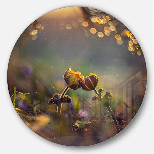 Designart Two Spring Flowers - Floral Photography Circle MT6925-C23-Disc of 23 inch, 23 x 23 Yellow/Blue Designart Two Spring Flowers - Floral Photography Circle MT6925-C23-Disc of 23 inch, 23 x 23 Yellow/Blue