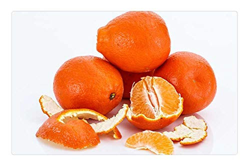LESGAULEST Doormat Floor Rug/Mat -23.6 x 15.7 inch- - Minneola Oranges Tangelo Citrus Fruit Honeybell