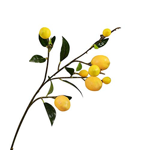 WDDH Artificial Lemon Branch- 36inch Fake Lemon Flower Branch with Green Leaves- Decorative Fruit Branch Photography Props for Home Weddng Party Decor -Yellow-2PCS-