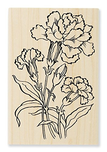 STAMPENDOUS Wood Rubber Stamp Carnation Blooms