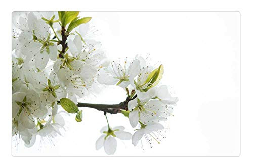 LESGAULEST Doormat Floor Rug/Mat -23.6 x 15.7 inch- - White Tree Nature Season Branch Spring Garden