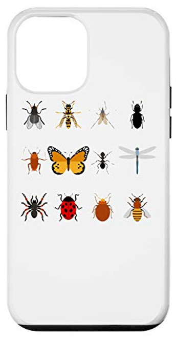 iPhone 12 mini Entomology Insect Chart Entomologist Bug Types Gift Case