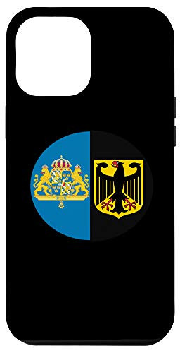 iPhone 12 Pro Max Half Swedish Half German Heritage Pie Chart Case