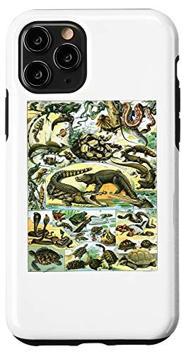 iPhone 11 Pro Reptiles Collection Chart Turtle Snake Species Vintage Case