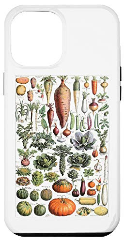iPhone 12 Pro Max Kitchen Vegetable Identification Reference Chart Botanical Case