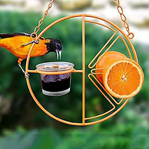 Baikk Clementine Oriole Bird Feeder- Wild Bird Feeders Hanging Bird Feeder- 2 in 1 Hanging Clementine Hummingbird Oriole Feeder- Oriole Bird Feeder for Outdoors Jelly and Oranges -A- Baikk Clementine Oriole Bird Feeder- Wild Bird Feeders Hanging Bird Feeder- 2 in 1 Hanging Clementine Hummingbird Oriole Feeder- Oriole Bird Feeder for Outdoors Jelly and Oranges -A-