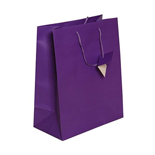JAM PAPER Gift Bags with Rope Handles - Large - 10 x 13 x 5 - Purple Matte - Sold Individually