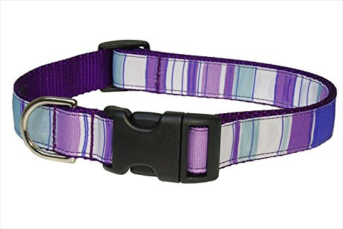 FlyFree STRIPE-PURPLE-MULTI4-C Stripe Dog Collar44- Purple - Large