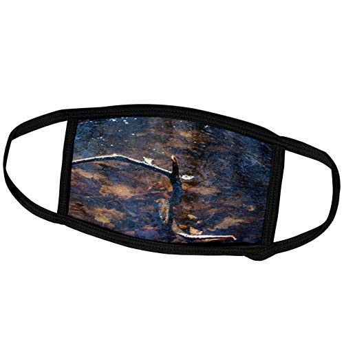 3dRose Alexis Photography - Seasons Autumn - Branch of a Tree in a Frozen Pond in Autumn - Face Masks -fm_280789_2-