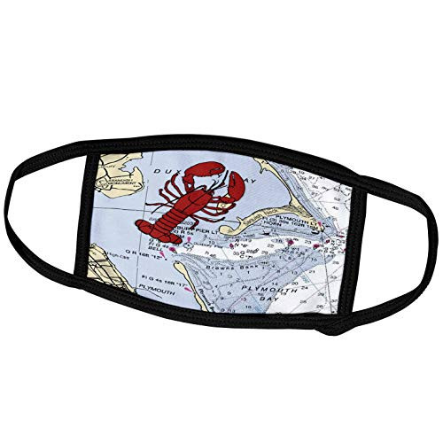 3dRose Print of Plymouth Bay Chart with Lobster - Face Covers -fc_204891_1-