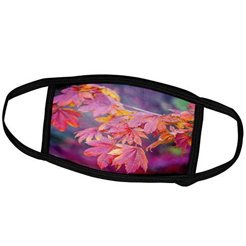 3dRose Orange Japanese Maple Leaves on Intense Purple Background - Face Covers -fc_270436_2-