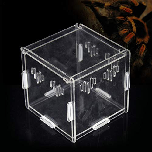 XEOGUIYA Acrylic Spider Box Reptile Breeding Box- Aquarium Breeding Tank for Reptile Animals- Spider Crickets Snails Hermit Crabs Tarantulas Geckos