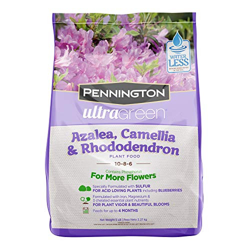 Pennington 100525940 UltraGreen Azalea- Camellia  and  Rhododendron 10-8-6 Plant Food- 5 lb Pennington 100525940 UltraGreen Azalea- Camellia  and  Rhododendron 10-8-6 Plant Food- 5 lb