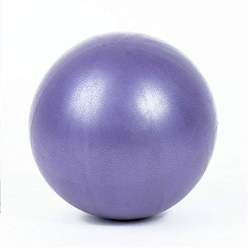 hgkl Exercise Ball Anti-Pressure Explosion-Proof 25 cm Diameter Yoga Exercise Gymnastics Pilates Yoga Balance Ball Gym Home Training Yoga Ball -Color - Purple-