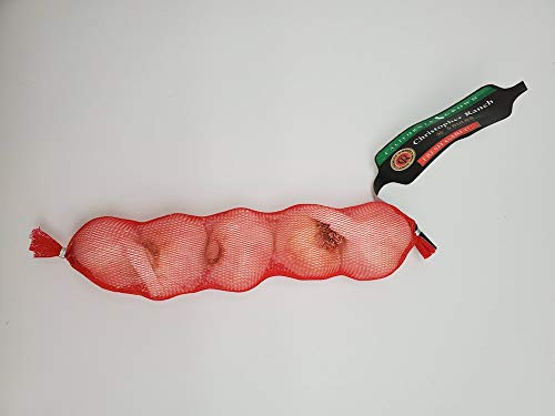 Fresh Garlic USA California Heirloom Monviso Gilroy Finest - 4 oz - 5 BULBS